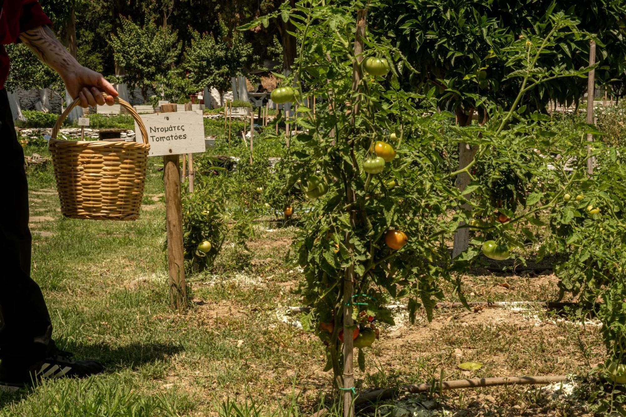 Micra Anglia Boutique Hotel & Spa Ándros Zewnętrze zdjęcie